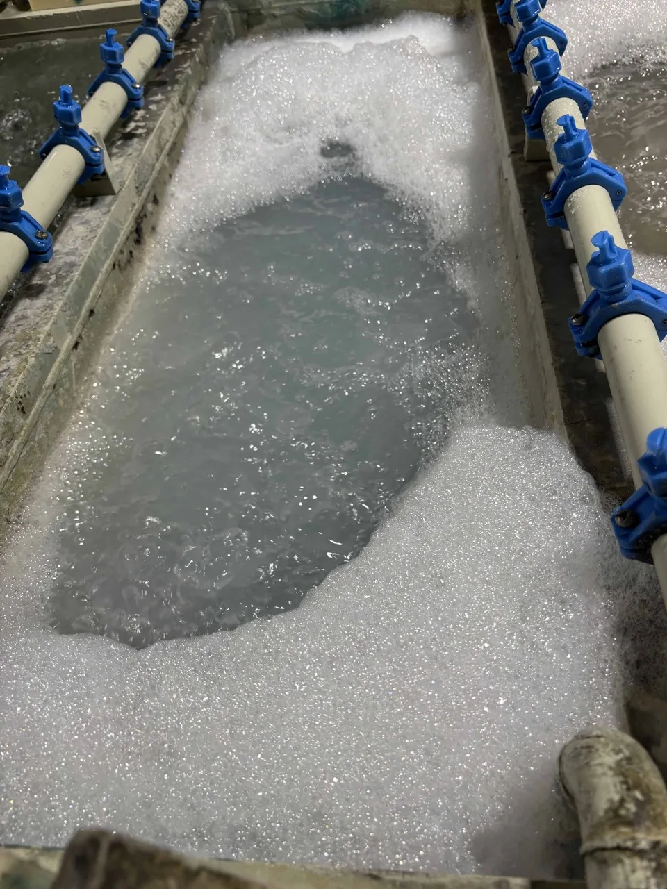 Schäumendes Becken mit blauen Düsen an den Leitungen
